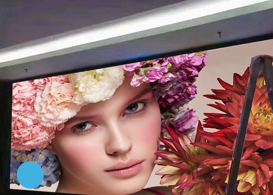 Piccolo schermo di visualizzazione dell'interno del LED del passo P1.25 800CD/㎡
