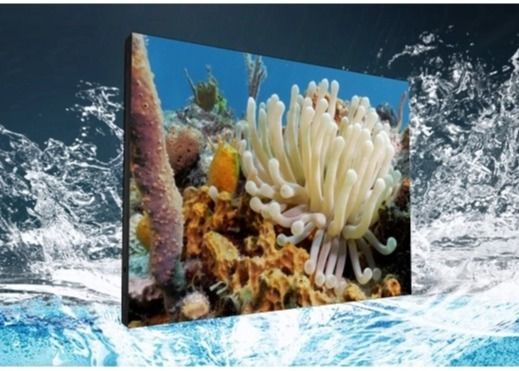 Esposizione di LED all'aperto commerciale di colore pieno della IMMERSIONE P16 di Front Service